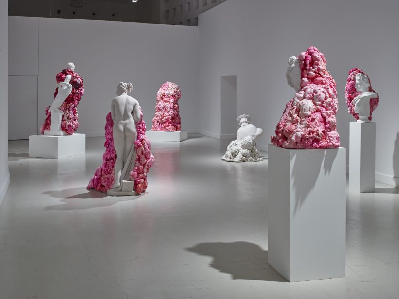 marina vargas - ni animal ni tampoco angel - le bastart