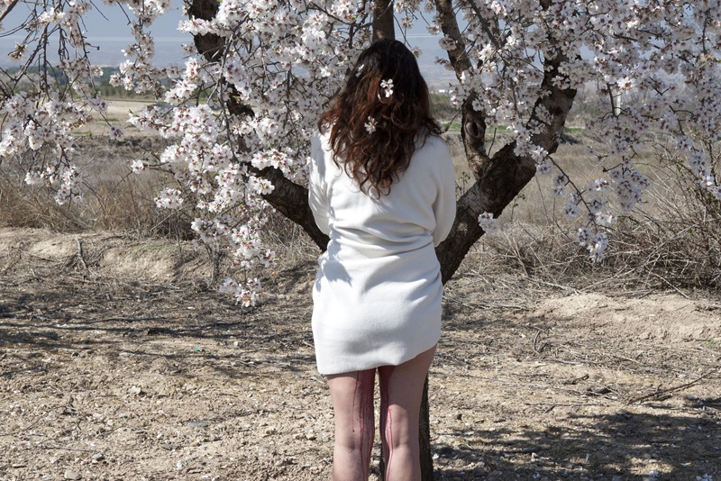 ana alvarez-errecalde - asentir - le bastart