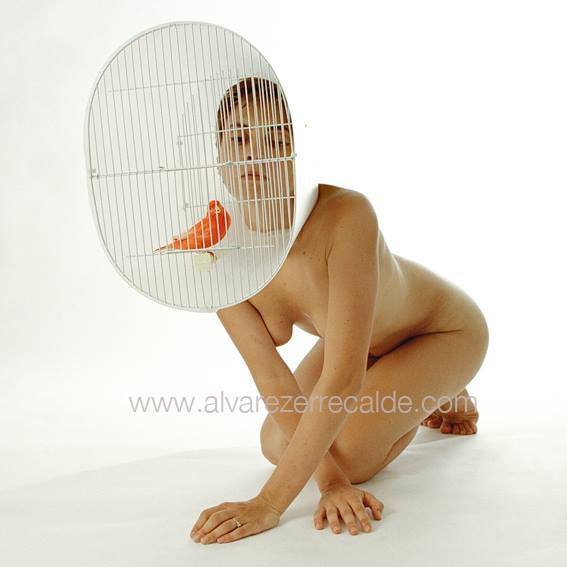 ana alvarez-errecalde - dualities - le bastart