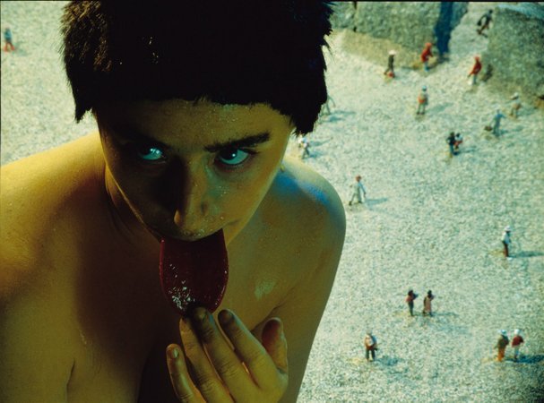 cindy sherman - fairy tale - le bastart