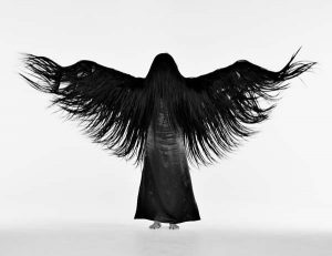 lilibeth cuenca - afghan hound - le bastart