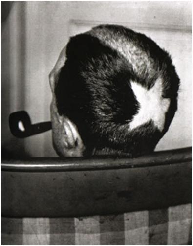 duchamp - tonsure - le bastart