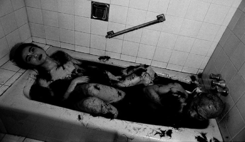 zhang huan ma liuming - le bastart