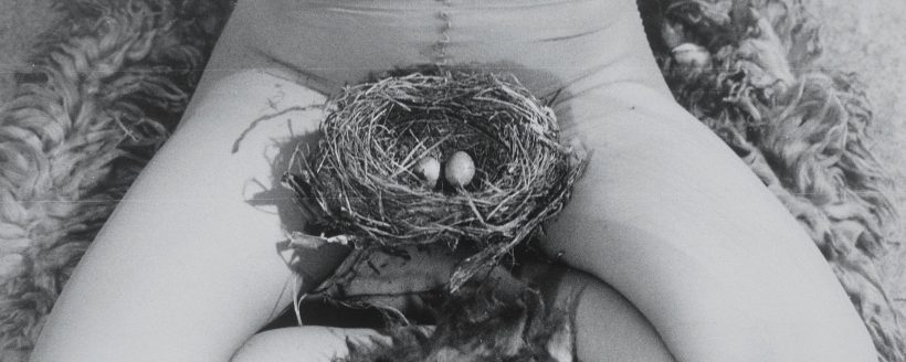 birgit jurgenssen - nest - le bastart