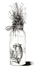 Taxidermia
