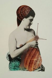 aurora duque - lubricacion casera - le bastart
