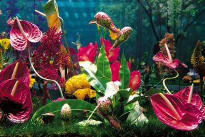 marc quinn - garden - le bastart