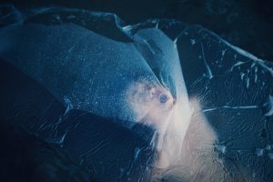 irene cruz - blue - le bastart