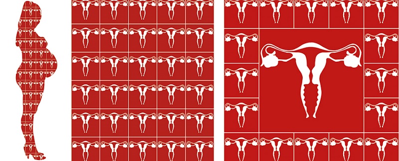 fatima mazmouz - uterus - le bastart