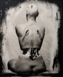 witkin - woman once a bird - le bastart