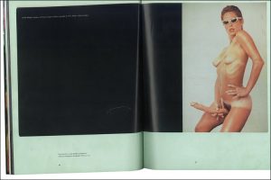 lynda benglis - artforum - le bastart