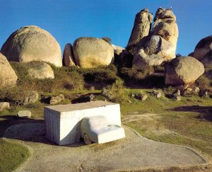wolf vostell - voaex - le bastart