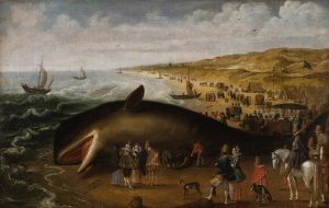 van de velde - whale - le bastart