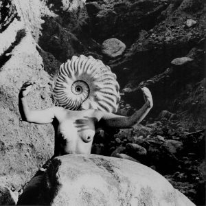 mary beth edelson - goddess head - le bastart