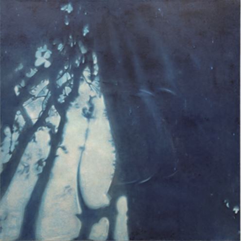 yishai jusidman - birkenau - le bastart