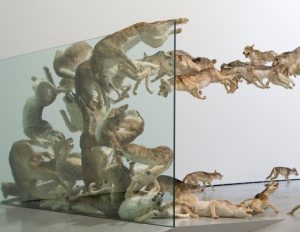cai guo qiang - lobos - le bastart