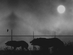 carlos amorales - manimal - le bastart