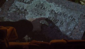 inmortalidad - liquenes - le bastart