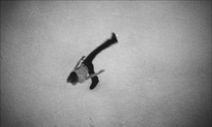 eve sussman - whiteonwhite - le bastart
