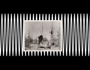 taniacandiani-fortheanimals-lebastart
