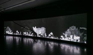 taniacandiani-fortheanimals-lebastart