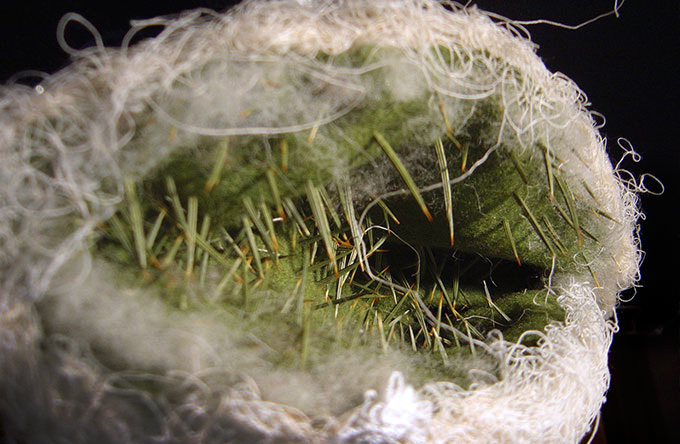 anamusma - cepos lobos - le bastart