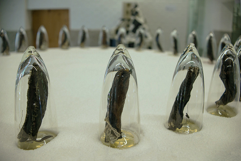 anamusma - cubiertas piel - le bastart