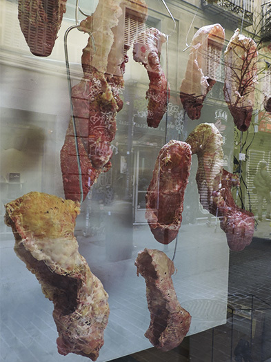 anamusma - descarnadas - le bastart