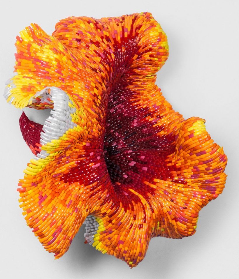 frances goodman - succubus - le bastart