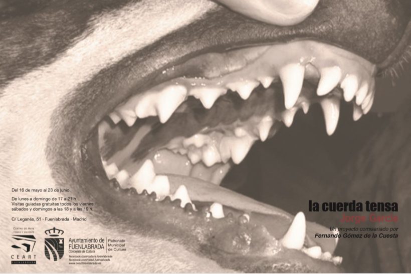 jorge garcia - ceart - le bastart